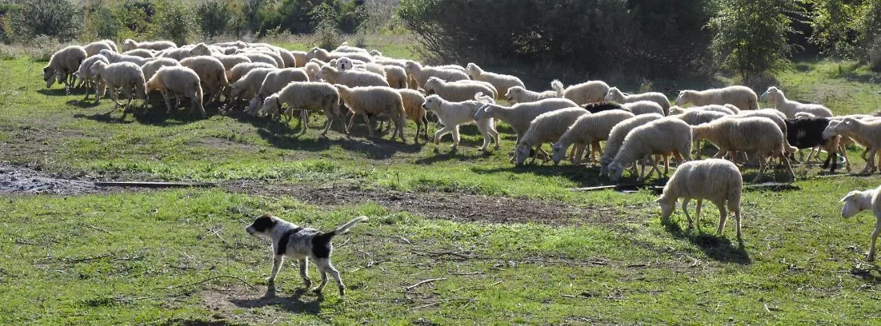 La Colombera In Toscana Roccalbegna